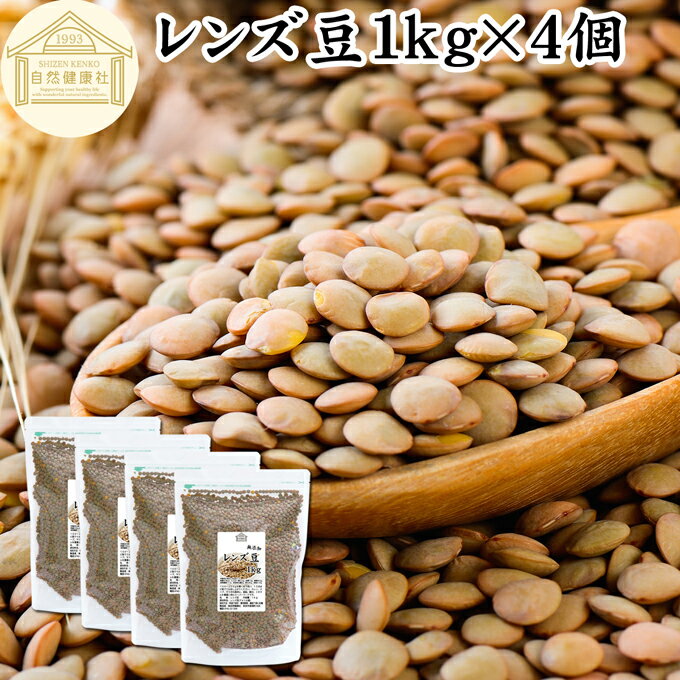 レンズ豆 1kg×4個 レンズマメ 皮付き ブラウン 100% アメリカ産 皮つき レンティル レンチル ヒラマメ 保存料 無添加 乾燥豆 業務用 たんぱく質 食物繊維 鉄 亜鉛 葉酸 セレン ミネラル スーパーフード ヴィーガン ビーガン ベジタリアン マクロビオティック 着色料 不使用