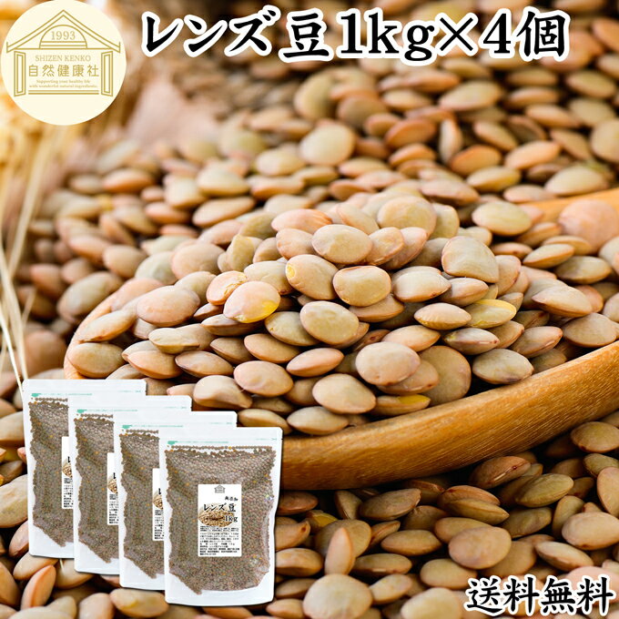 レンズ豆 1kg×4個 レンズマメ 皮付き ブラウン アメリカ産 無添加 100% 皮つき 送料無料 レンティル レンチル ヒラマメ 乾燥豆 業務用 たんぱく質 食物繊維 鉄分 亜鉛 葉酸 セレン ミネラル スーパーフード ヴィーガン ビーガン ベジタリアン マクロビオティック マクロビ