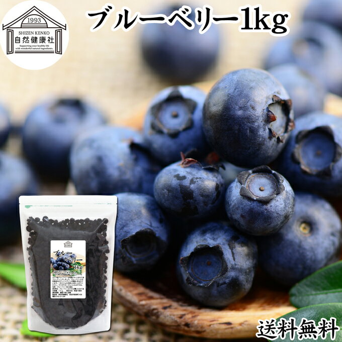 ブルーベリー 1kg ブルー ベリー ドライ フルーツ 乾燥 果物 カルチベイト カルティベイト 着色料 保存料 不使用 無着色 業務用 大容量 送料無料 ポリフェノール アントシアニン 食物繊維 ビタミン ミネラル 健康 美容 菓子 お菓子 おやつ グラノーラ スイーツ スムージー