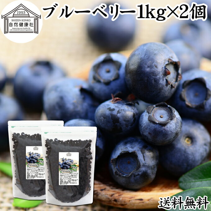 ブルーベリー 1kg×2個 ブルー ベリー ドライ フルーツ 乾燥 果物 カルチベイト カルティベイト 着色料 保存料 香料 不使用 無着色 業務用 大容量 送料無料 ポリフェノール アントシアニン 食物繊維 ビタミン ミネラル 健康 美容 菓子 お菓子 おやつ グラノーラ スムージー