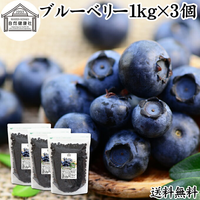 楽天青汁 粉末 健康茶の健康生活研究所ブルーベリー 1kg×3個 ブルー ベリー ドライ フルーツ 乾燥 果物 カルチベイト カルティベイト 着色料 保存料 香料 不使用 無着色 業務用 大容量 送料無料 ポリフェノール アントシアニン 食物繊維 ビタミン ミネラル 健康 美容 菓子 お菓子 おやつ グラノーラ スムージー