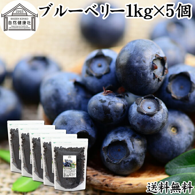 楽天青汁 粉末 健康茶の健康生活研究所ブルーベリー 1kg×5個 ブルー ベリー ドライ フルーツ 乾燥 果物 カルチベイト カルティベイト 着色料 保存料 香料 不使用 無着色 業務用 大容量 送料無料 ポリフェノール アントシアニン 食物繊維 ビタミン ミネラル 健康 美容 菓子 お菓子 おやつ グラノーラ スムージー