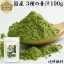 3種の青汁 100g 明日葉 あしたば ゴーヤ 長命草 粉末 青汁 パウダー 国産 明日葉茶 アシタバ ゴーヤー茶 ゴーヤ茶 粉茶 送料無料 サプリ サプリメント 100% 無添加 無着色 保存料 甘味料 不使用 野菜パウダー 食物繊維 ベータカロチン ポリフェノール フラボノイド カロテン