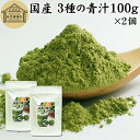 3種の青汁 100g×2個 明日葉 あしたば ゴーヤ 長命草 粉末 青汁 パウダー 国産 明日葉茶 アシタバ ゴーヤー茶 ゴーヤ茶 粉茶 サプリ サプリメント 100 無添加 無着色 保存料 甘味料 不使用 野菜パウダー 食物繊維 ベータカロチン ポリフェノール フラボノイド カロテン 葉酸