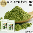 3種の青汁 100g×2個 明日葉 あしたば ゴーヤ 長命草 粉末 青汁 パウダー 国産 明日葉茶 アシタバ ゴーヤー茶 ゴーヤ茶 粉茶 送料無料 サプリ サプリメント 100% 無添加 無着色 保存料 不使用 野菜パウダー 食物繊維 ベータカロチン ポリフェノール フラボノイド カロテン