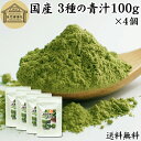 3種の青汁 100g×4個 明日葉 あしたば ゴーヤ 長命草 粉末 青汁 パウダー 国産 明日葉茶 アシタバ ゴーヤー茶 ゴーヤ茶 粉茶 送料無料 サプリ サプリメント 100% 無添加 無着色 保存料 不使用 野菜パウダー 食物繊維 ベータカロチン ポリフェノール フラボノイド カロテン