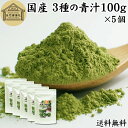 3種の青汁 100g×5個 明日葉 あしたば ゴーヤ 長命草 粉末 青汁 パウダー 国産 明日葉茶 アシタバ ゴーヤー茶 ゴーヤ茶 粉茶 サプリ サプリメント 100% 保存料 無添加 無着色 甘味料 不使用 野菜パウダー 食物繊維 ベータカロチン ポリフェノール フラボノイド カロテン 葉酸