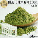 3種の青汁 100g×5個 明日葉 あしたば ゴーヤ 長命草 粉末 青汁 パウダー 国産 明日葉茶 アシタバ ゴーヤー茶 ゴーヤ茶 粉茶 送料無料 サプリ サプリメント 100% 無添加 無着色 保存料 不使用 野菜パウダー 食物繊維 ベータカロチン ポリフェノール フラボノイド カロテン