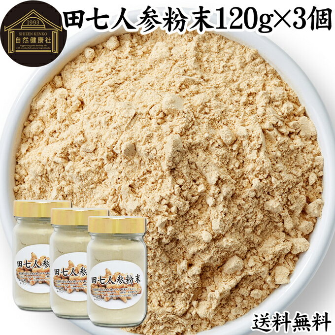 田七人参 粉末 120g×3個 サプリメント ピュア サポニン 100％ パウダー 送料無料 無添加 サプリ 田三七..