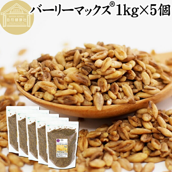 楽天青汁 粉末 健康茶の健康生活研究所バーリーマックス 1kg×5個 スーパー大麦 食物繊維 スーパーフード 玄麦 雑穀 ごはん ご飯 無添加 100％ 業務用 オーストラリア 開発 たんぱく質 フラクタン ベータグルカン レジスタントスターチ 水溶性 食物繊維 ビフィズス菌 善玉菌 エサに ぷちぷち 食感 自然な甘み 腸活