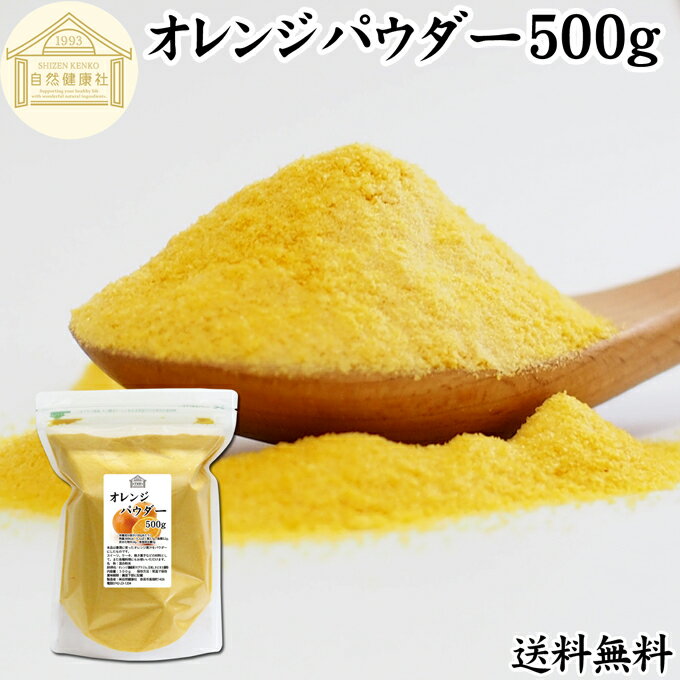 オレンジパウダー 500g フルーツ みかん 粉末 オレンジ粉末 粉末ジュース スムージー 果汁 業務用 フレ..