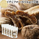 ドライいちじく 1kg×5個 ドライフルーツ イチジク ロースト殺菌済 安全 大粒肉厚 トルコ産 砂糖不使用 保存料 無添加 無塩 無漂白 無花果 国内選別 フ...