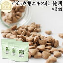 楽天青汁 粉末 健康茶の健康生活研究所イチョウ葉 エキス粒 徳用 210g×3個 2520粒 サプリ サプリメント いちょう葉 銀杏葉 無農薬 国産 業務用 フラボノイド ギンコライド ポリフェノール プロアントシアニン タンニン お試し おためし 売れ筋 おすすめ ランキング 人気 口コミ お取り寄せ 自分買い 自分用 プレ