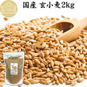 玄小麦 2kg 全粒小麦 北海道産 国産 きたほなみ 100% 業務用 保存料 無添加 製粉前 未精白 小麦粒 胚乳 胚芽 小麦 ふすま フスマ ブラン 食物繊...