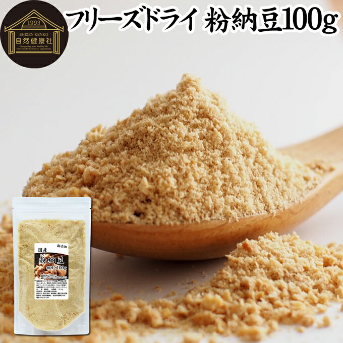 粉納豆 100g 粉末 粗挽き ドライ納豆 フリーズドライ 