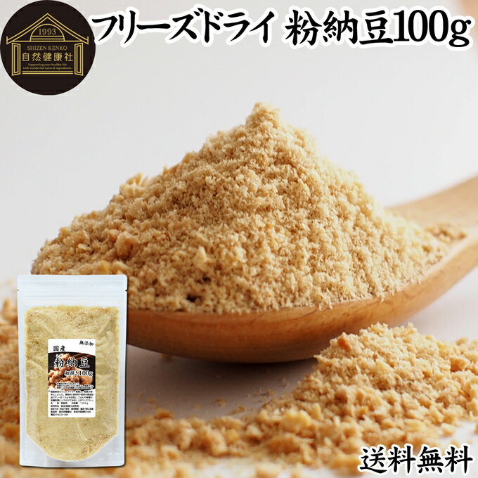 粉納豆 100g 粉末 送料無料 粗挽き ドライ納豆 フリー