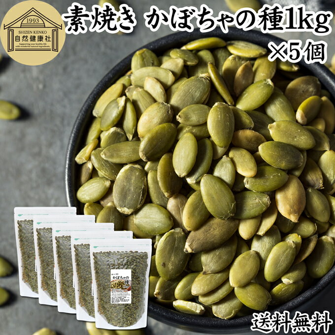 かぼちゃの種 1kg×5個 送料無料 パン