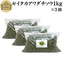 セイタカアワダチソウ 1kg×3個 乾燥 国産 100% 無農薬 無添加 ゴールデンロッド ポリフェノール クロロゲン酸 健康茶 入浴剤 風呂 お風呂 薬草茶 薬膳茶 材料 食物繊維 農薬不使用 美肌 妊婦 妊活 温活 入浴 健康 美容 薬草 ハーブ 自然健康社 手摘み 雑草 価値 人気 自然