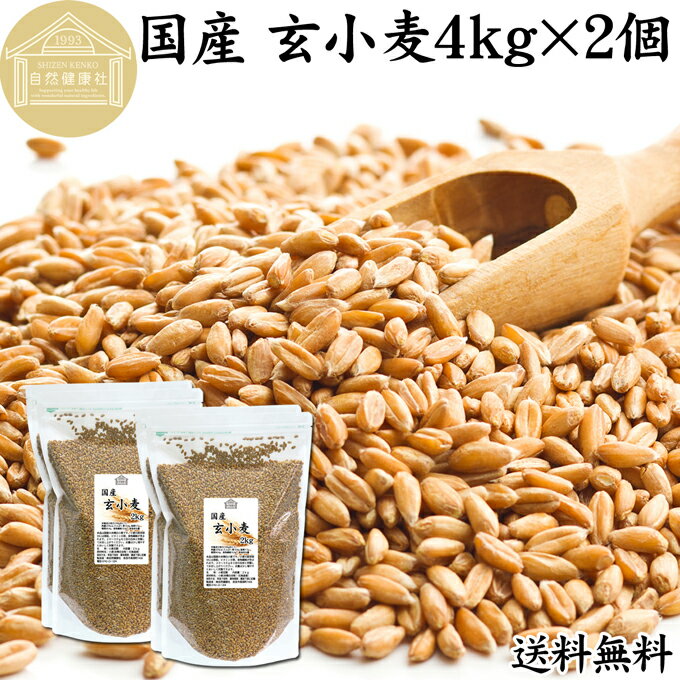 玄小麦 4kg×2個 全粒小麦 北海道産 国産 きたほなみ 100% 業務用 保存料 無添加 製粉前 未精白 小麦粒 胚乳 胚芽 小麦 ふすま フスマ ブラン 食物繊維 ビタミン B1 B6 E カリウム マグネシウム 麦ごはん 麦ご飯 雑穀 ごはん 自然 美容 健康 全粒粉に 製菓 材料 パン 生地