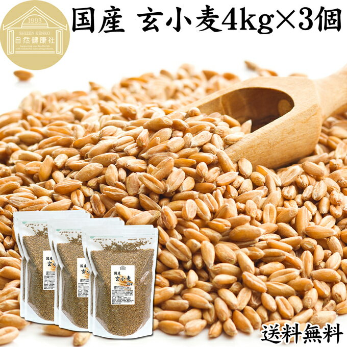 玄小麦 4kg×3個 全粒小麦 北海道産 国産 きたほなみ 100% 業務用 保存料 無添加 製粉前 未精白 小麦粒 胚乳 胚芽 小麦 ふすま フスマ ブラン 食物繊維 ビタミン B1 B6 E カリウム マグネシウム 麦ごはん 麦ご飯 雑穀 ごはん 自然 美容 健康 全粒粉に 製菓 材料 パン 生地