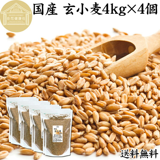 玄小麦 4kg×4個 全粒小麦 北海道産 国産 きたほなみ 100% 業務用 保存料 無添加 製粉前 未精白 小麦粒 胚乳 胚芽 小麦 ふすま フスマ ブラン 食物繊維 ビタミン B1 B6 E カリウム マグネシウム 麦ごはん 麦ご飯 雑穀 ごはん 自然 美容 健康 全粒粉に 製菓 材料 パン 生地