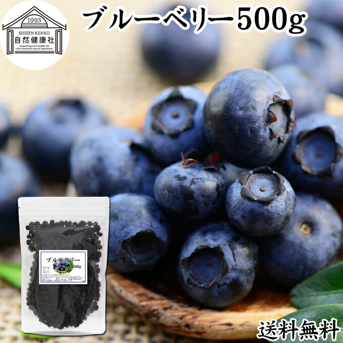 ブルーベリー 500g ブルー ベリー ドライ フルーツ 乾燥 果物 カルチベイト カルティベイト  ...