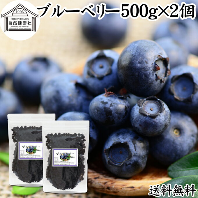 ブルーベリー 500g×2個 ブルー ベリー ドライ フルーツ 乾燥 果物 カルチベイト カルティベイト 着色料 保存料 香料 不使用 無着色 業務用 大容量 送料無料 ポリフェノール アントシアニン 食物繊維 ビタミン ミネラル 健康 美容 菓子 お菓子 おやつ グラノーラ スムージー