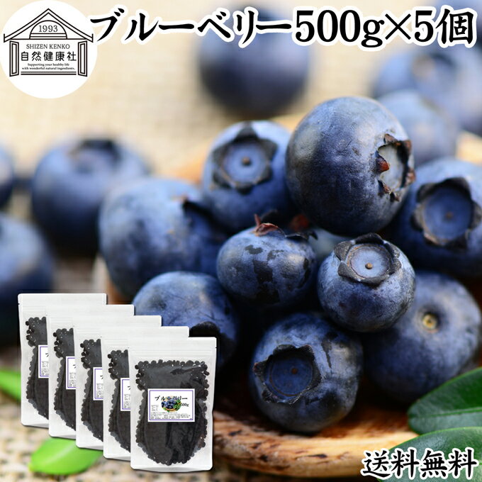 ブルーベリー 500g×5個 ブルー ベリー ドライ フルーツ 乾燥 果物 カルチベイト カルティベイト 着色料..