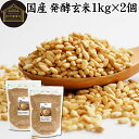 発酵玄米 1kg×2個 酵素玄米 玄米麹 酵素ごはん 酵素 玄米 ごはん ご飯 麹菌 簡単 かんたん 手軽 国産 100% 保存料 無添加 業務用 大容量 ヘル...