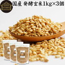 発酵玄米 1kg×3個 酵素玄米 玄米麹 酵素ごはん 酵素 玄米 ごはん ご飯 麹菌 簡単 かんたん 手軽 国産 100% 保存料 無添加 業務用 大容量 ヘル...
