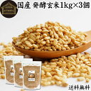 発酵玄米 1kg×3個 酵素玄米 玄米麹 酵素ごはん 酵素 玄米 ごはん ご飯 麹菌 簡単 かんたん 手軽 国産 100% 保存料 無添加 業務用 大容量 ヘル...