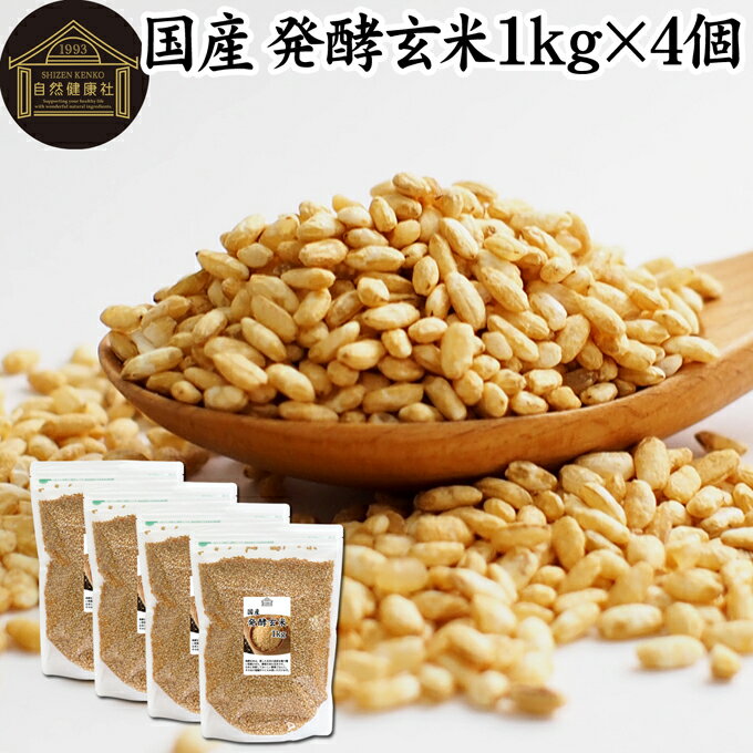 発酵玄米 1kg×4個 酵素玄米 寝かせ玄