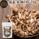 楽天青汁 粉末 健康茶の健康生活研究所乾燥しめじ 70g 乾燥 しめじ 干し シメジ 無農薬 乾燥 きのこ 国産 国内産 干し ドライ 無添加 100％ 業務用 乾燥野菜 キノコ みそ汁 具 きのこ汁 パスタ 炒め物 豚汁 雑炊 煮物 チャーハン 炊き込みご飯 そば 蕎麦 ソバ うどん ベータグルカン ビタミンB群 ビタミンD 人気