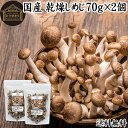 楽天青汁 粉末 健康茶の健康生活研究所乾燥しめじ 70g×2個 送料無料 乾燥 しめじ 干し シメジ 無農薬 乾燥 きのこ 国産 国内産 干し ドライ 無添加 100％ 業務用 乾燥野菜 キノコ みそ汁 具 きのこ汁 パスタ 炒め物 豚汁 雑炊 煮物 チャーハン 炊き込みご飯 そば 蕎麦 ソバ うどん ベータグルカン ビタミンB群 ビ