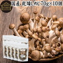 乾燥しめじ 70g×10個 乾燥 しめじ 干し シメジ 無農薬 乾燥 きのこ 国産 国内産 干し ドライ 100% 業務用 保存料 無添加 乾燥野菜 キノコ み...