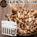 楽天青汁 粉末 健康茶の健康生活研究所乾燥しめじ 70g×10個 乾燥 しめじ 干し シメジ 無農薬 乾燥 きのこ 国産 国内産 干し ドライ 無添加 100％ 業務用 乾燥野菜 キノコ みそ汁 具 きのこ汁 パスタ 炒め物 豚汁 雑炊 煮物 チャーハン 炊き込みご飯 そば 蕎麦 ソバ うどん ベータグルカン ビタミンB群 ビタミンD