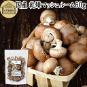 乾燥マッシュルーム 60g 乾燥 マッシュルーム ドライ 干し 乾燥 きのこ 無農薬 国産 国内産 100% 保存料 無添加 業務用 乾燥野菜 キノコ スープ ...