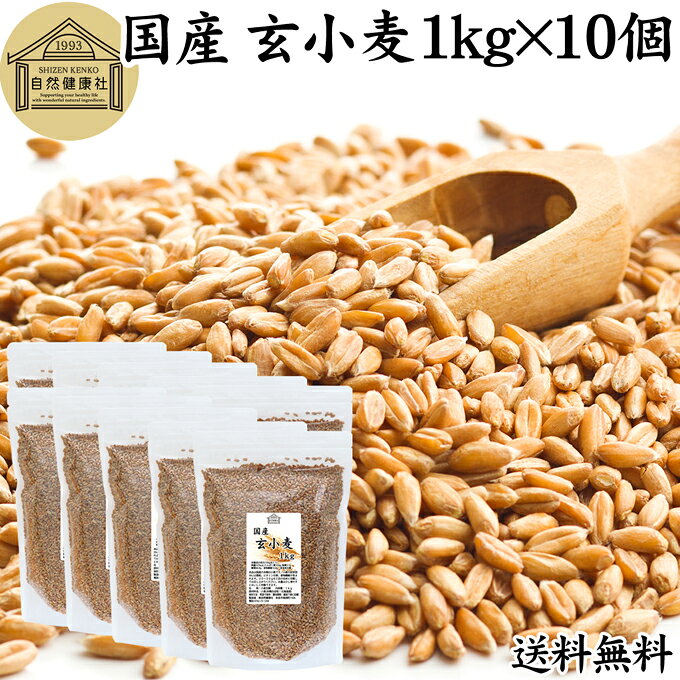 玄小麦 1kg×10個 全粒小麦 北海道産 国産 きたほなみ 100% 業務用 保存料 無添加 製粉前 未精白 小麦粒..