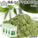 クマザサ粉末 100g×4個 クマザサ 青汁 粉末 送料無料 熊笹 あおじる ふんまつ パウダー お試し 国産 サプリ サプリメント クマザサ茶 熊笹茶 クマイザサ くまざさ 隈笹 北海道産 自然健康社 葉緑素 食物繊維 クマ笹 多糖体 クロロフィル 笹多糖体 おすすめ ペット わんこ