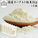 ヨーグルト 粉末 1kg 5個 ヨーグルトパウダー 粉末ヨーグルト 粉ヨーグルト 業務用 無糖 無添加 砂糖不使用 100% 乳酸菌 ビフィズス菌 善玉菌 サプリメント 飲むヨーグルト 離乳食 ベビーフー…