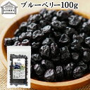 ブルーベリー 100g ブルー ベリー ドライ ドライフルーツ 乾燥 カルチベイト カルティベイト サプリ ルテイン 着色料 保存料 香料 不使用 無着色 業務...