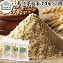 小麦胚芽 粉末 320g×3個 ふんまつ パウダー 100% 保存料 無添加 ビタミン B1 B2 B6 ビタミンE 鉄 亜鉛 葉酸 ビオチン 食物繊維 ミネラ...
