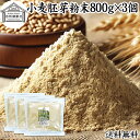 小麦胚芽 粉末 800g×3個 ふんまつ パウダー 100% 保存料 無添加 ビタミン B1 B2 B6 ビタミンE 鉄 亜鉛 葉酸 ビオチン 食物繊維 ミネラ...