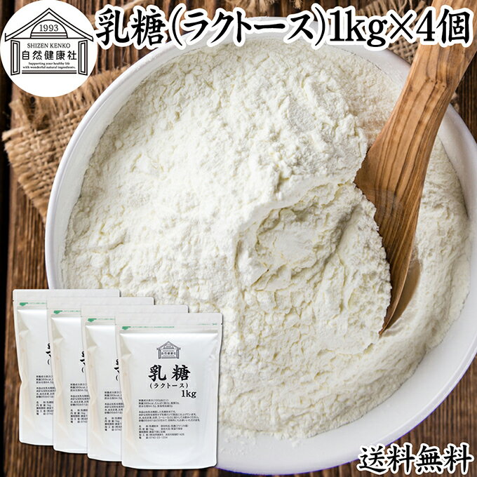 乳糖 1kg×4個 ラクトース オリゴ糖 粉末 100％ パウダー 保存料 無添加 業務用 サプリ メント 母乳 乳酸菌 ビフィズス菌 善玉菌 プロバイオティクス プレバイオティクス 菌活 腸活 腸内フローラ 飲料 砂糖不使用 おすすめ お試し おためし ダイエット 健康 甘味料 介護食