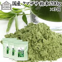 クマザサ粉末 200g×3個 クマザサ 青汁 粉末 熊笹 あおじる ふんまつ パウダー 国産 サプリ サプリメント クマザサ茶 熊笹茶 クマイザサ くまざさ 隈笹 北海道産 自然健康社 葉緑素 食物繊維 クマ笹 多糖体 クロロフィル 笹多糖体 おすすめ ペット わんこ 歯磨き ランキング