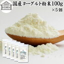 ヨーグルト 粉末 100g×5