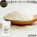 魚コラーゲンペプチド 100g 粉末 パ