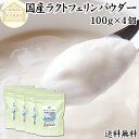 ラクトフェリン パウダー 100g×4個 粉末 ラクトフェリン サプリ 乳酸菌 パウダー サプリメント ビフィズス菌 善玉菌 乳酸菌パウダー ダイエット 送料無...