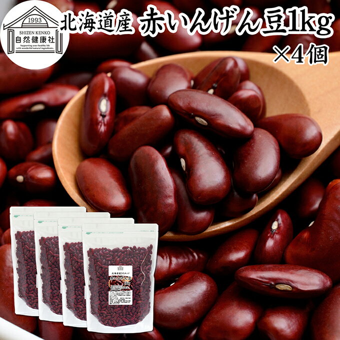 国産 赤いんげん豆 1kg×4個 いんげん豆 北海道産 きたロッソ 乾燥 インゲン豆 いんげんまめ 100% 生豆 保存料 無添加 業務用 大容量 お得 金時豆 きんとき豆 スーパーフード たんぱく質 食物繊維 亜鉛 鉄 ポリフェノール 健康 人気 ビーガン ベジタリアン マクロビ