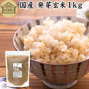 発芽玄米 1kg 発芽米 玄米 無洗米 国産 100% 業務用 保存料 無添加 大容量 ビタミン B群 E カルシウム ギャバ GABA ミネラル マグネシウム 食物繊維 マクロビ 簡単 かんたん 手軽 常温保存 一人 ひとり 暮らし 弁当 おにぎり あずき 小豆 黒米 赤米 雑穀米 雑穀 ごはん 料理